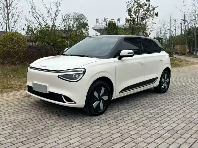 Dongfeng Yipai Nano 01 2024 Renewal Edition 330 Air