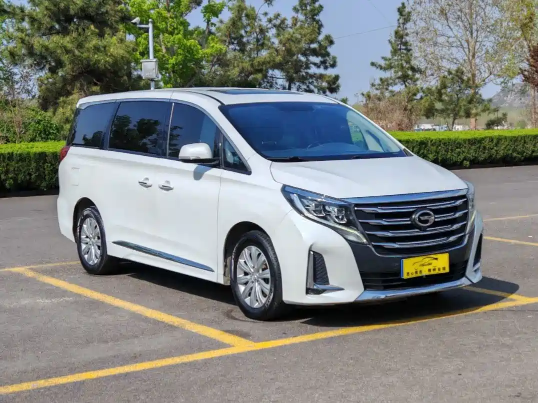 GAC Trumpchi Trumpchi M8 2020 Pilot 390T Premium Edition фото 3