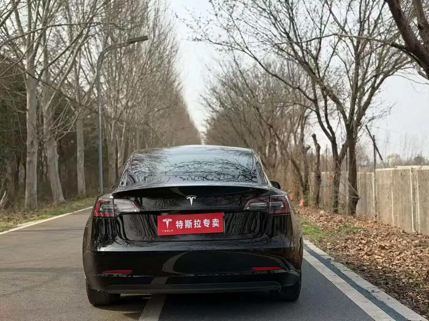TESLA MODEL 3
