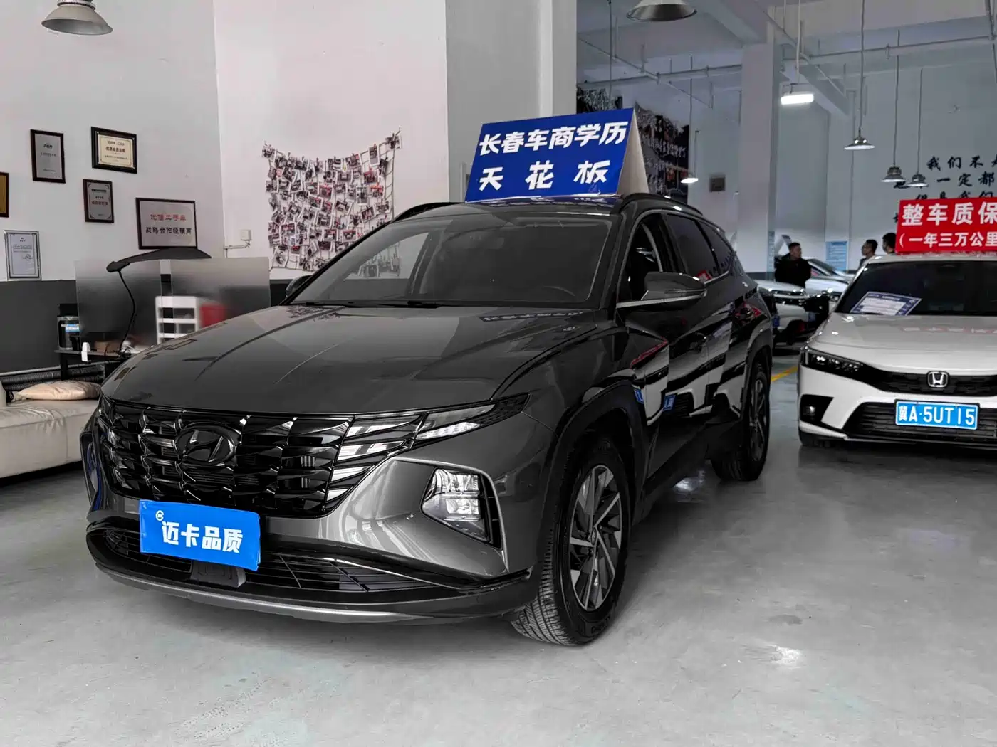 Hyundai Tucson 2023 Tucson L 1.5T Automatic 2WD GLX Elite Edition