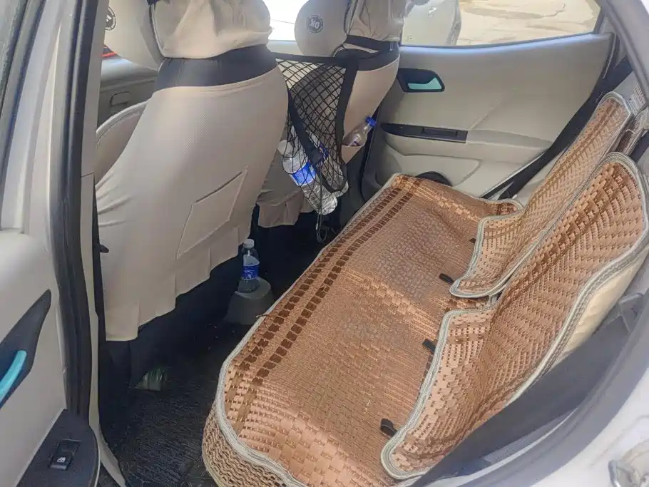 JMCG New Energy Little Kirin 2025 2024 201km Comfort Model