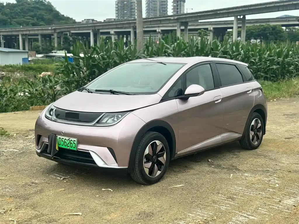 BYD Dolphin 2025 420km Freedom Edition