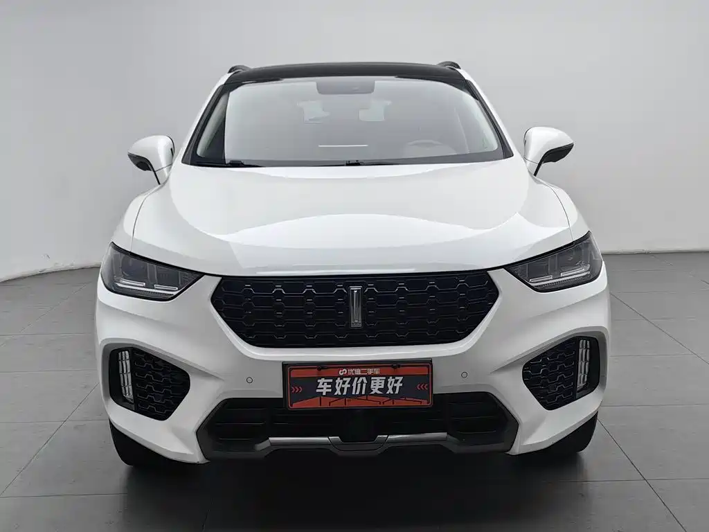 WEY VV5 2017 2017 2.0T Super Luxury Model
