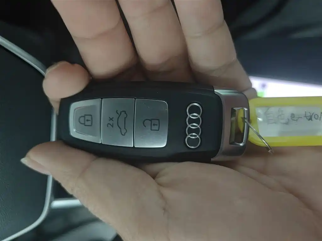 Audi e-tron 2021 50 quattro Luxury фото 9