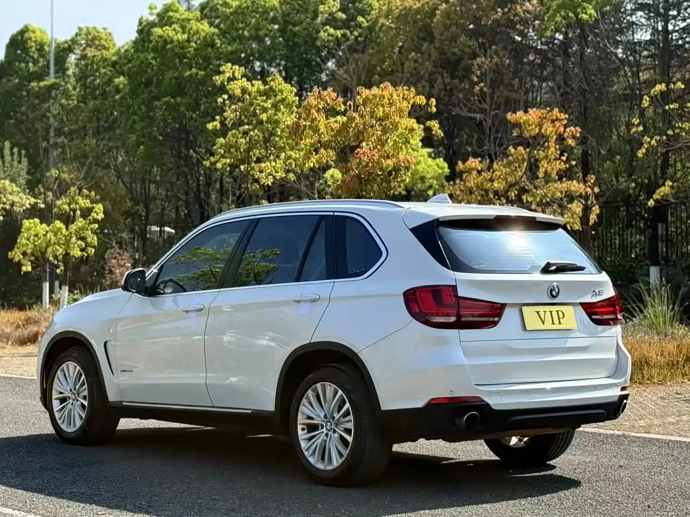 BMW X5 (Import) 2014 xDrive35i Luxury фото 6
