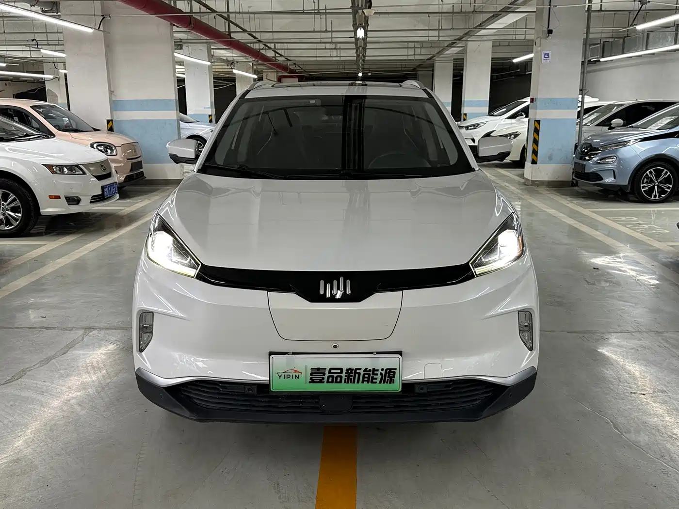 2019 Weltmeister EX5