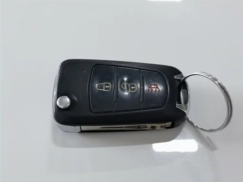 GREAT WALL FENGJUN 5