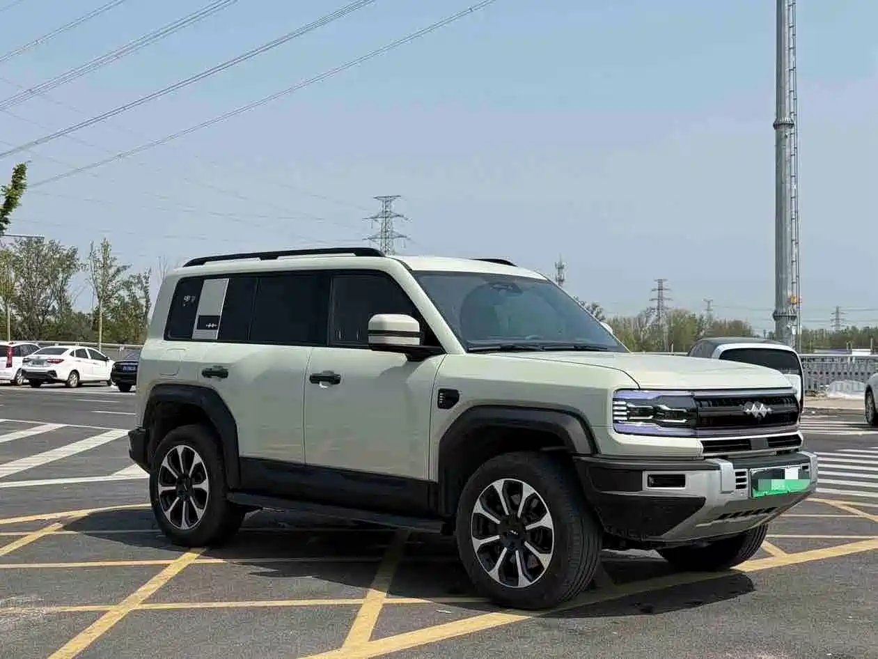 FANG CHENG BAO LEOPARD 5