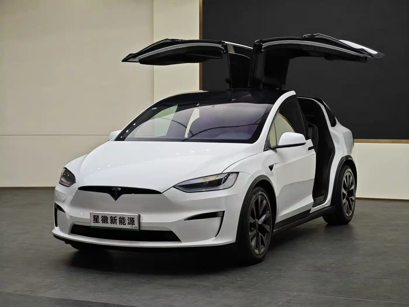 Tesla Model X 2023 Dual Motor All-Wheel Drive Edition