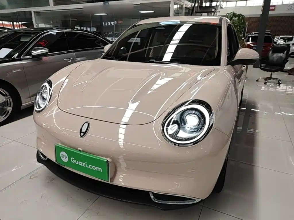Ora Good Cat 2025 2024 401km Luxury