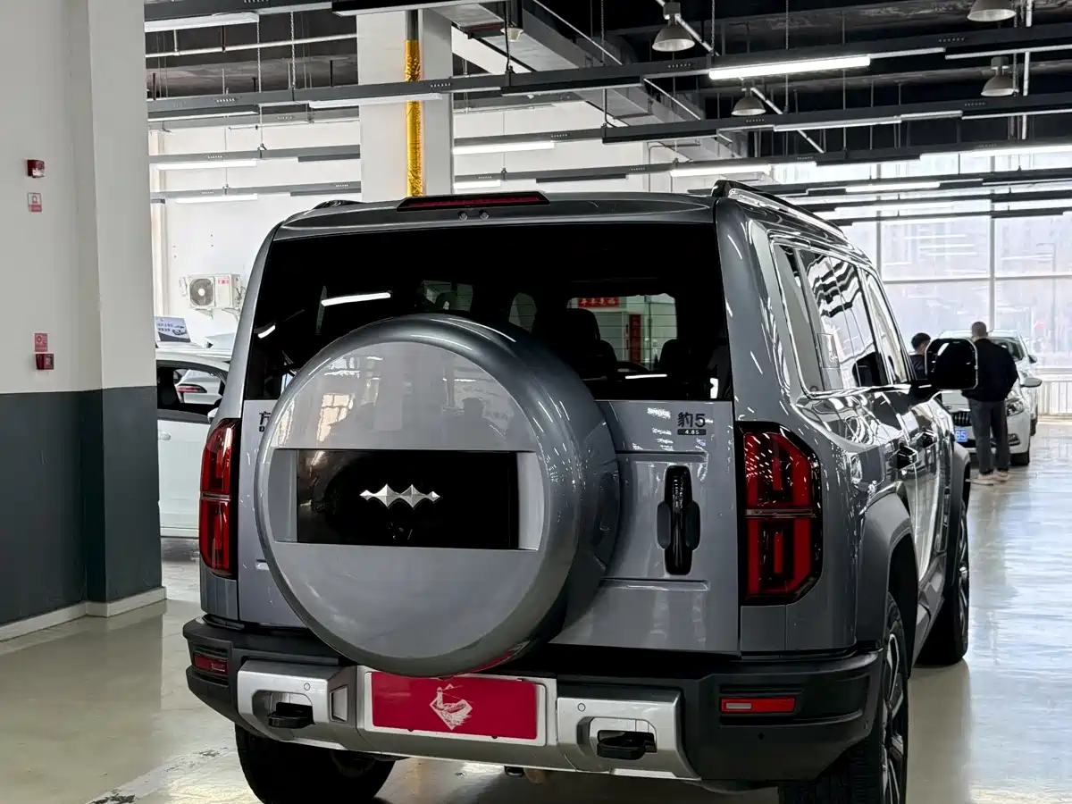 FANG CHENG BAO LEOPARD 5