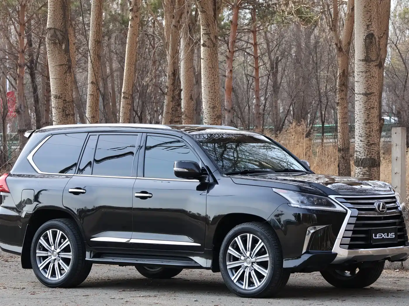 Lexus LX 2016 570 Luxury Premium Edition фото 3