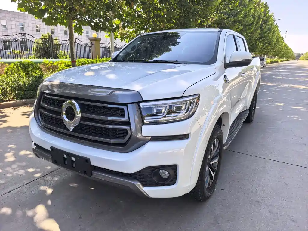 Great Wall Pao 2025 2024 Model 2.4T Passenger Version Automatic Diesel 4WD Comfort Type