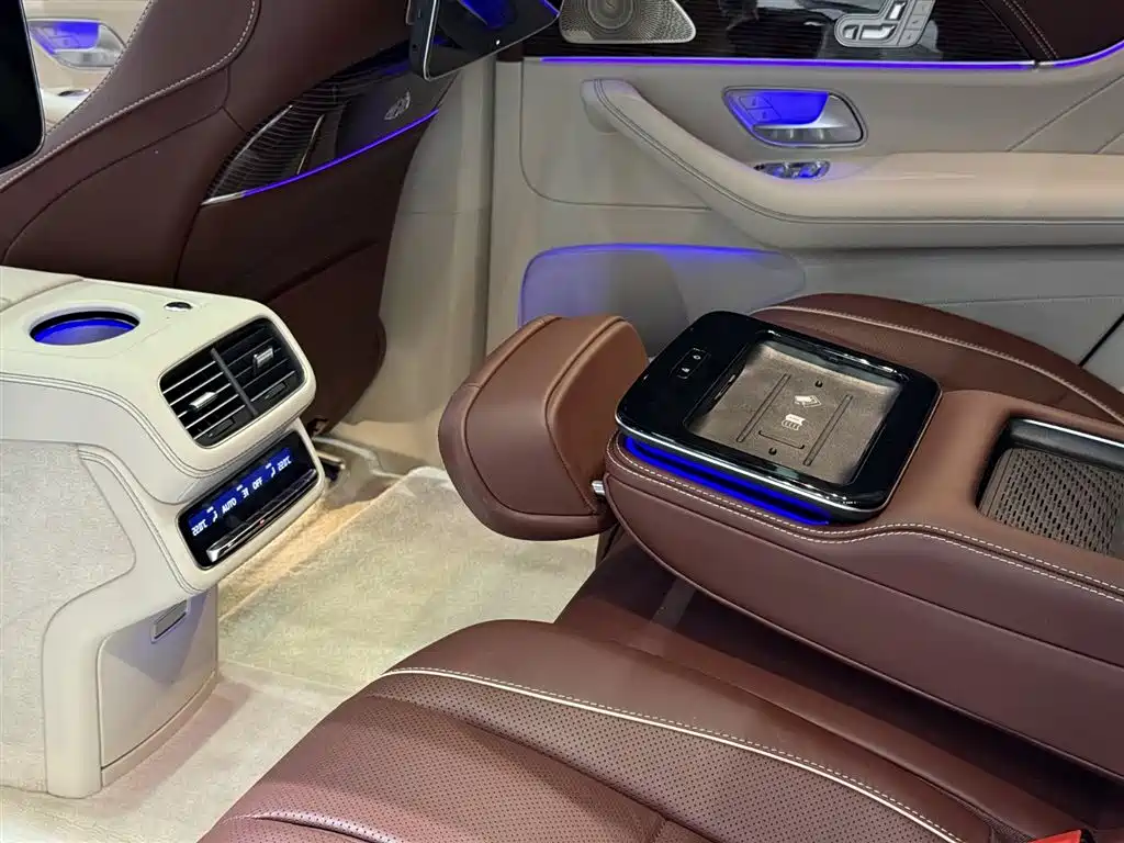 Mercedes-Benz Maybach GLS 2021 GLS 480 4MATIC фото 19