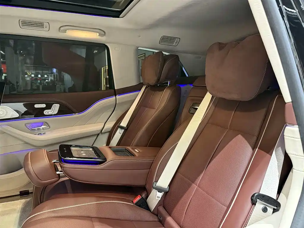 Mercedes-Benz Maybach GLS 2021 GLS 480 4MATIC фото 20