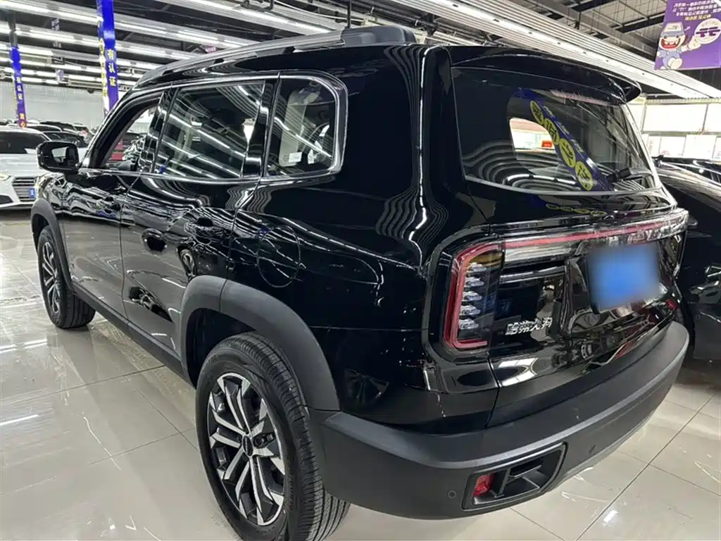 Haval Big Dog 2024 1.5T DCT Border Collie Edition фото 8