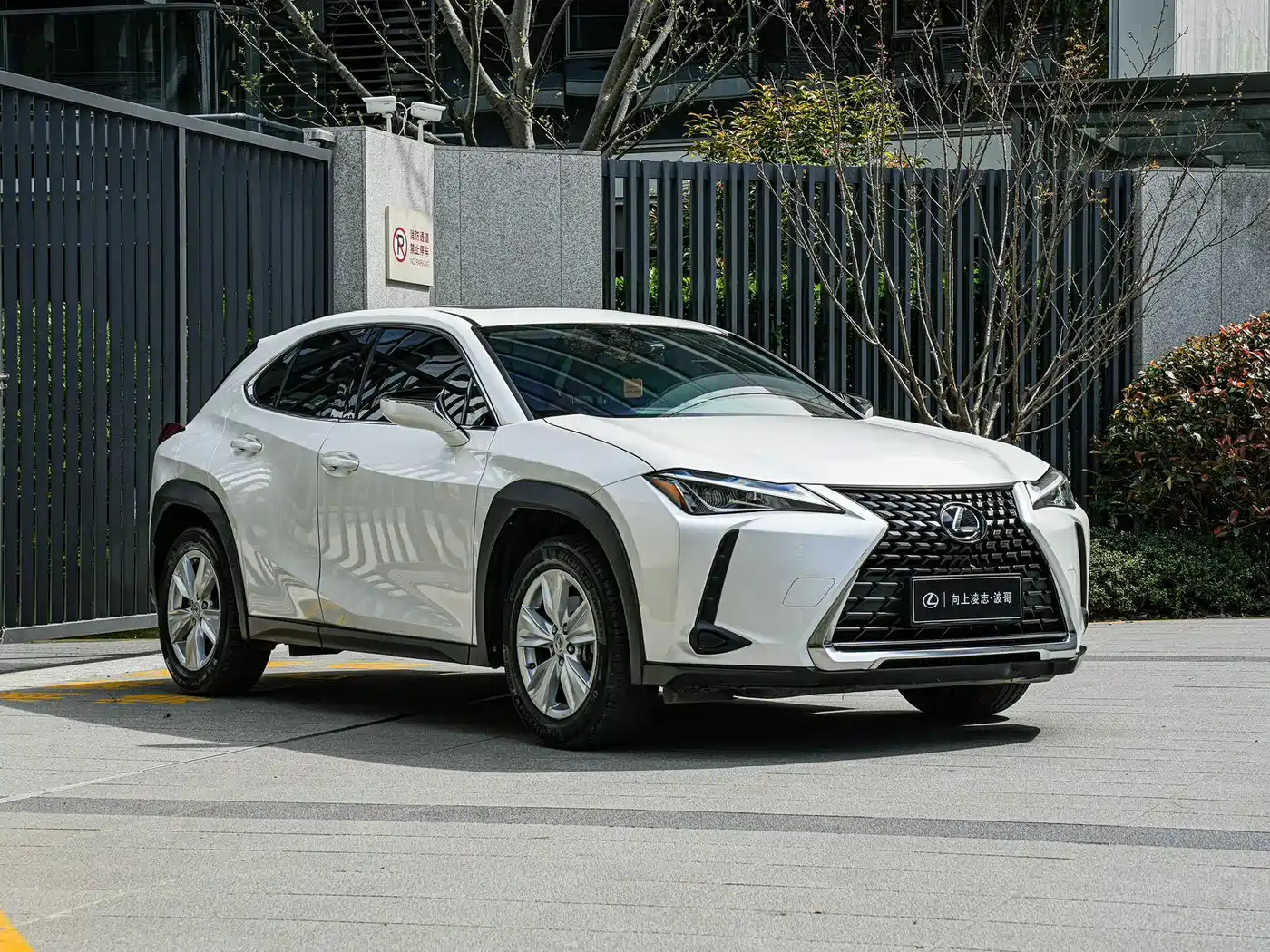 Lexus UX 2020 200 Special Edition фото 3
