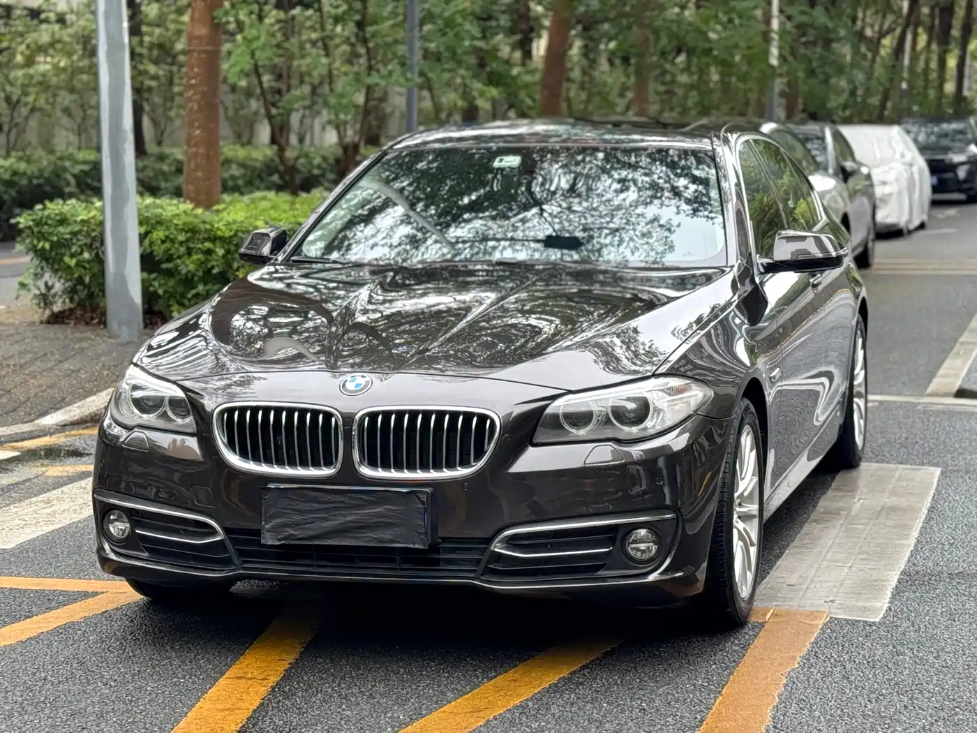 BMW 5 Series 2014 525Li Luxury Design Package фото 4