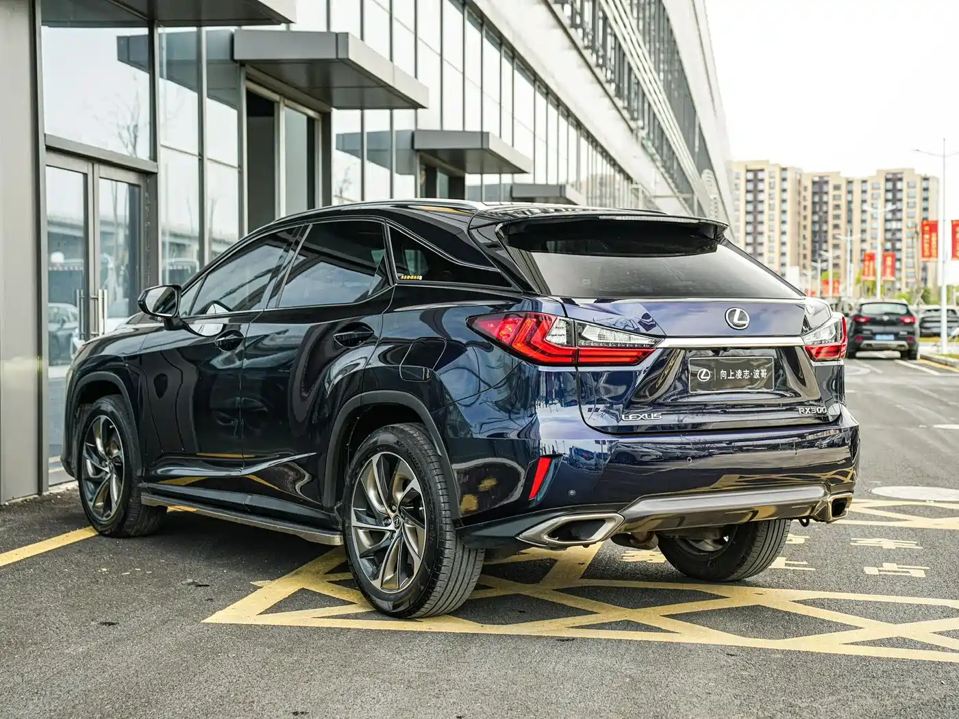 Lexus RX 2016 300 4WD Elegance Edition China VI фото 6
