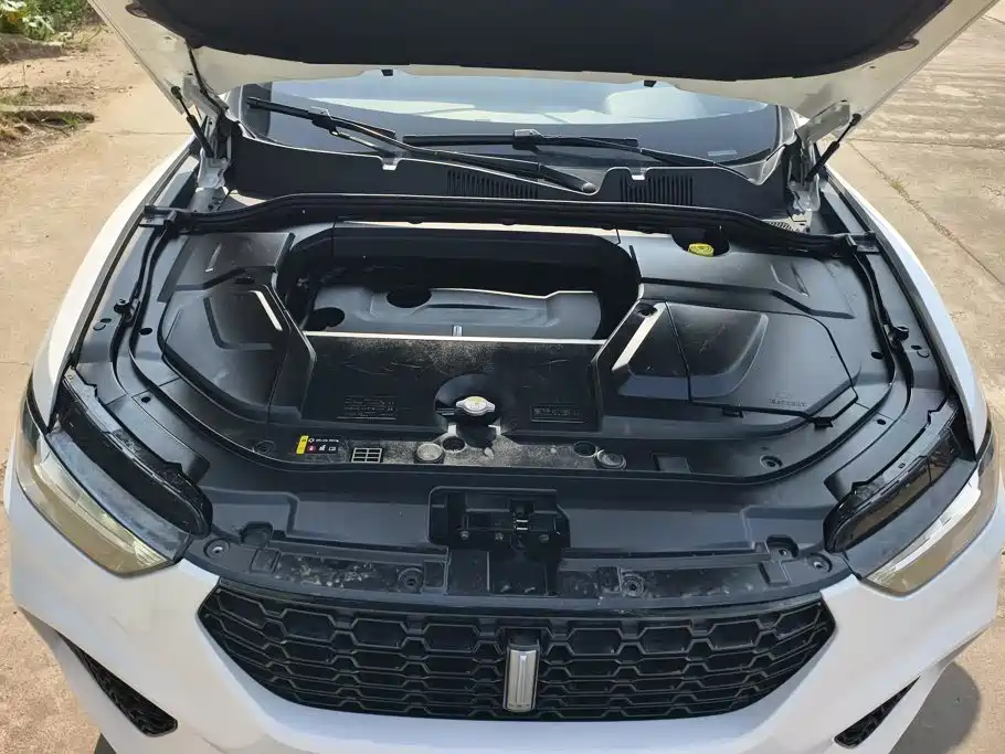 WEY VV5 2018 2017 2.0T Super Luxury Model