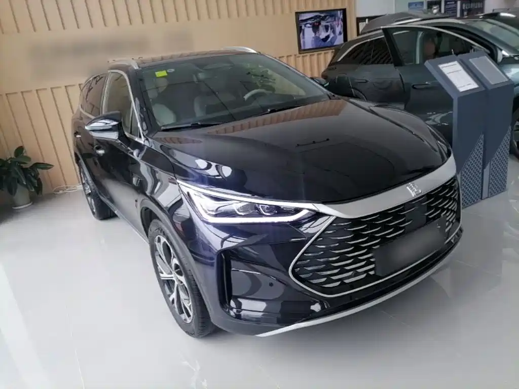 BYD Tang New Energy 2025 2025 Smart Driving Edition DM-i 115KM Flagship