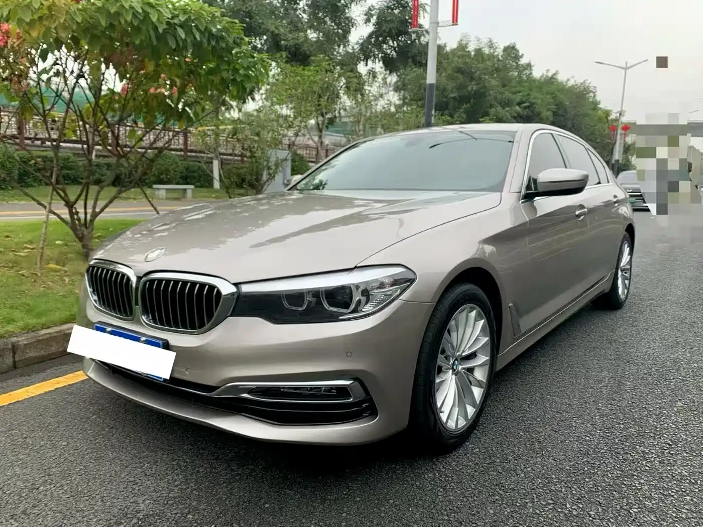 BMW 5 Series 2019 525Li Luxury Package