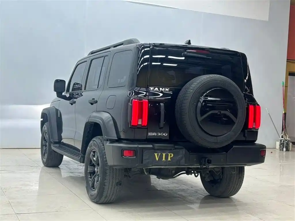 Tank 300 2023 Off-Road Edition 2.0T Conqueror фото 7
