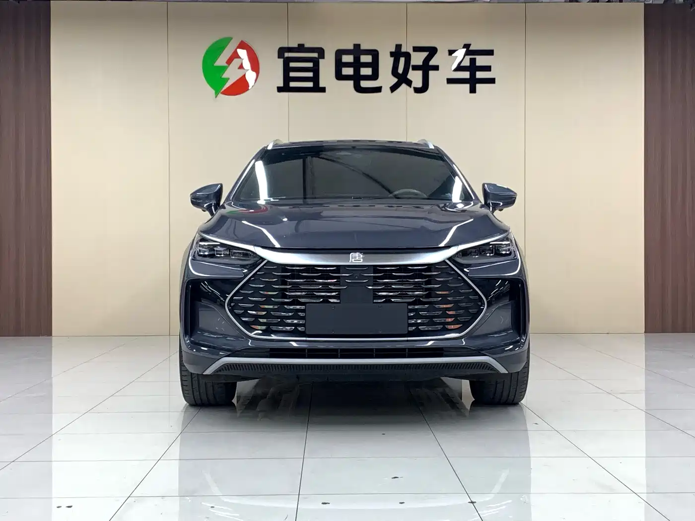 BYD Tang New Energy 2024 DM-p Champion Edition 215KM AWD Flagship фото 2
