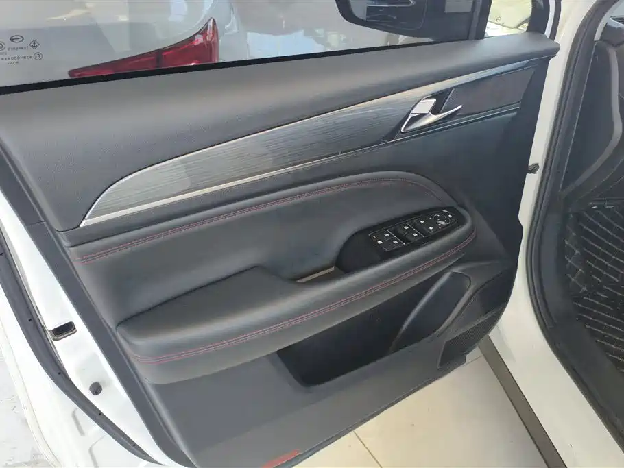 GAC Trumpchi Trumpchi GS4 PLUS 2022 270T Automatic Starry Sky Edition фото 7