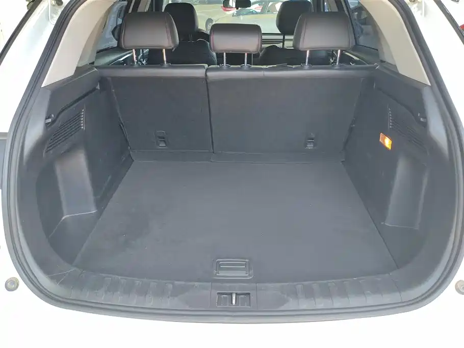 GAC Trumpchi Trumpchi GS4 PLUS 2022 270T Automatic Starry Sky Edition фото 4
