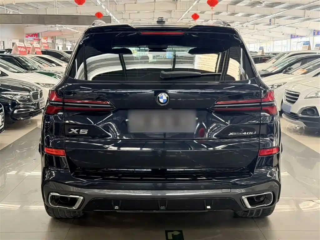 BMW X5 2023 xDrive 30Li Premium M Sport Black Night Package фото 14