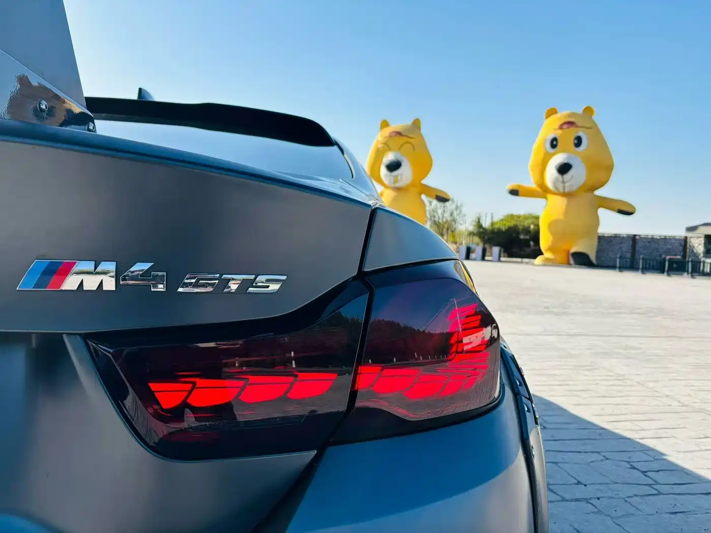 BMW M4 2016 M4 GTS фото 5