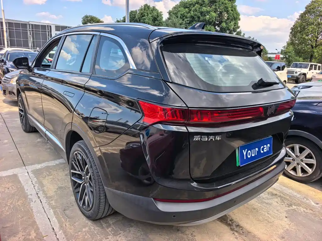 Weltmeister EX6 2020 2020 Plus First Founder Edition