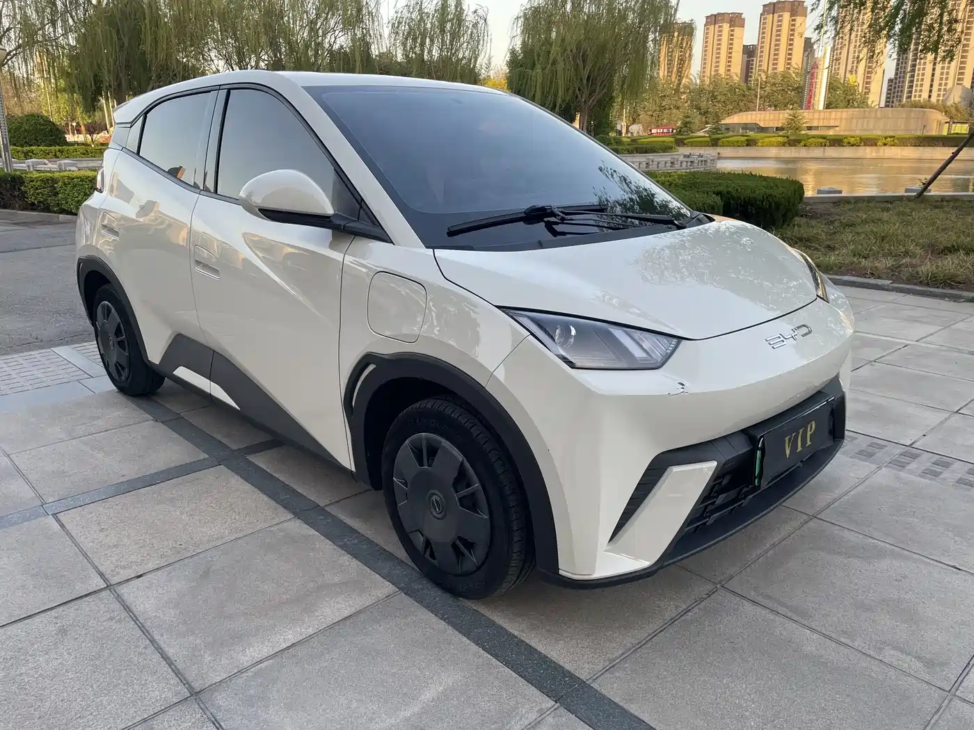 BYD Seagull 2023 Vitality Edition фото 3