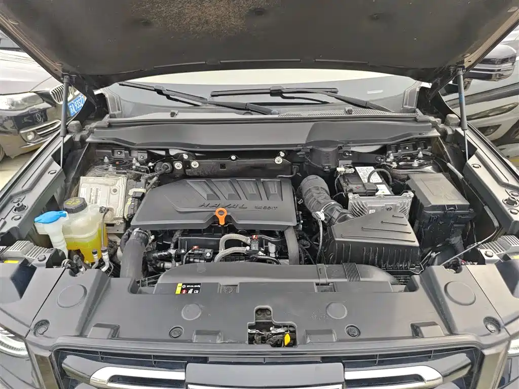 Haval Big Dog 2021 1.5T DCT 2WD Border Collie Edition фото 16