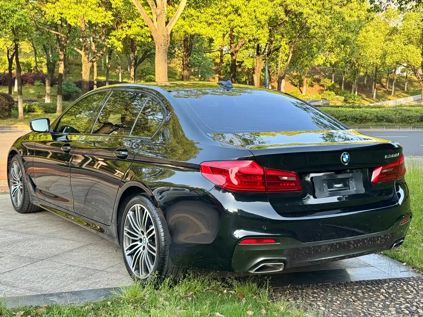 BMW 5 Series 2019 530Li Leading M Sport Package фото 5
