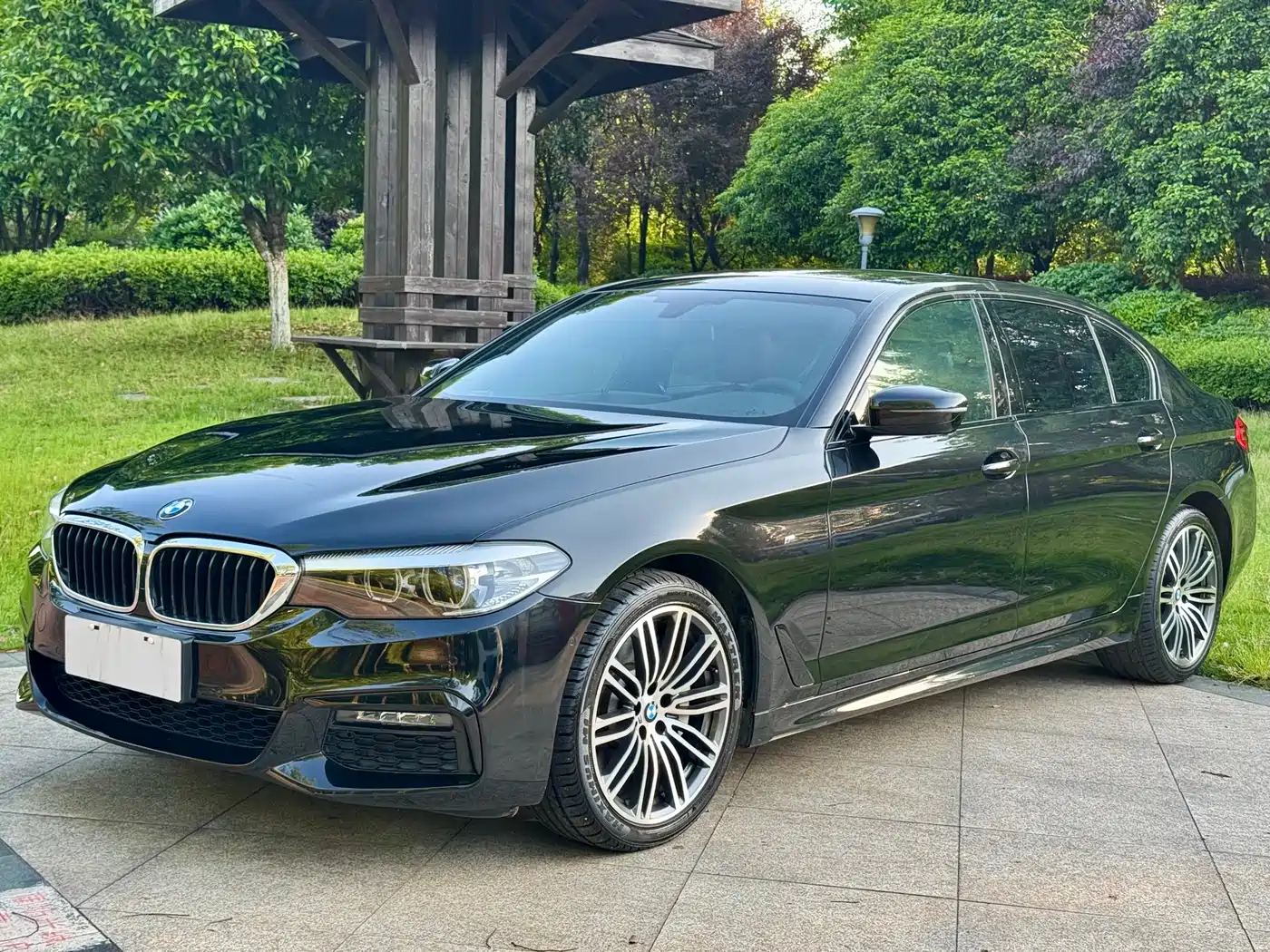 BMW 5 Series 2019 530Li Leading M Sport Package фото 7