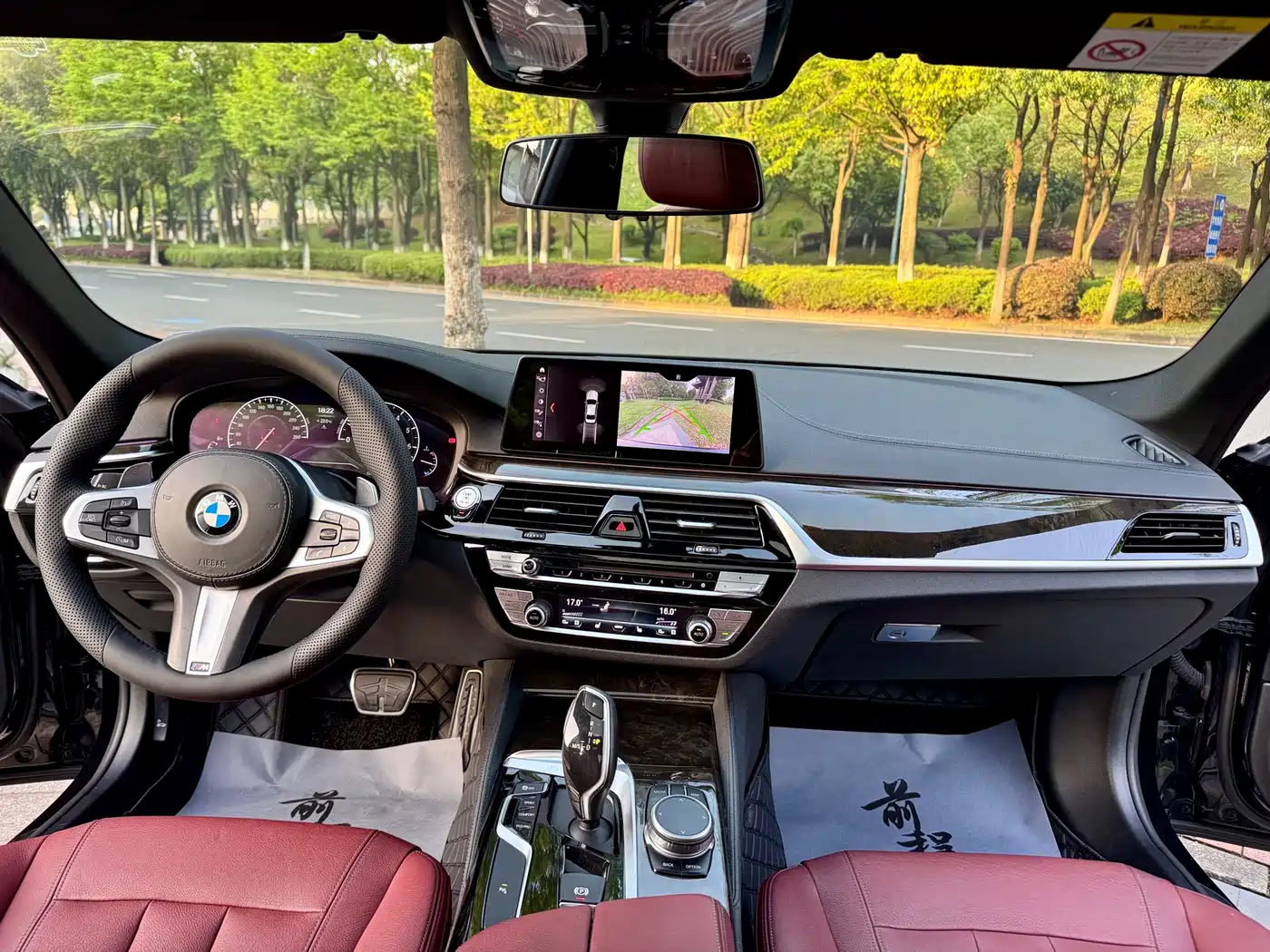 BMW 5 Series 2019 530Li Leading M Sport Package фото 12