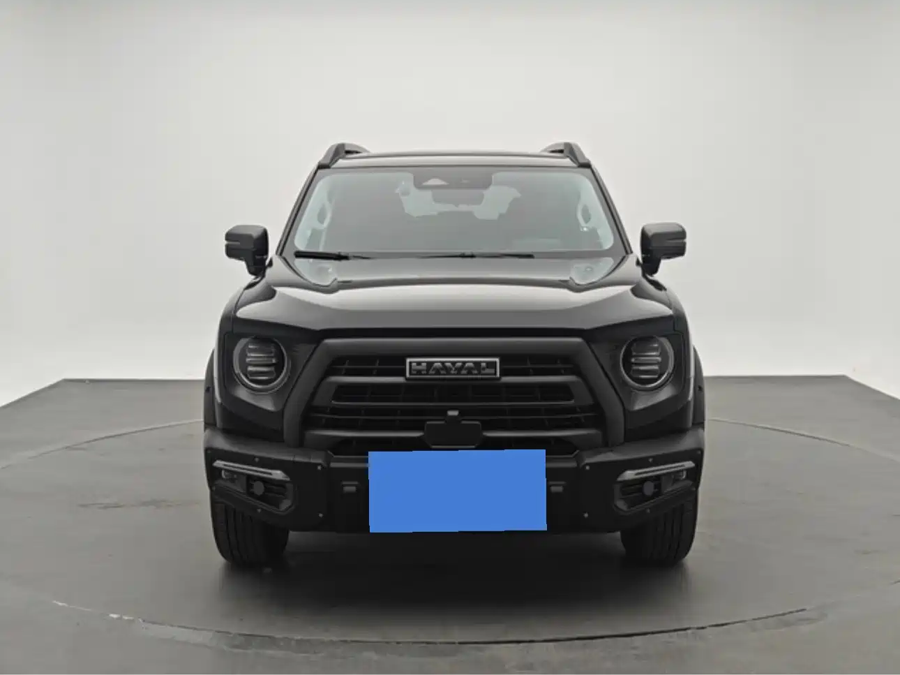 HAVAL BIG DOG