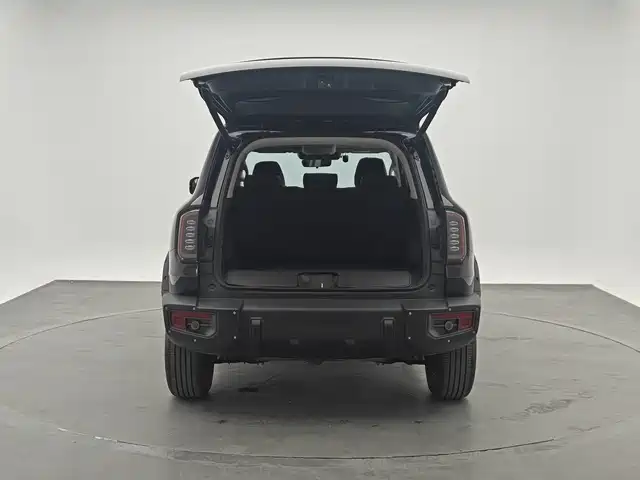 HAVAL BIG DOG