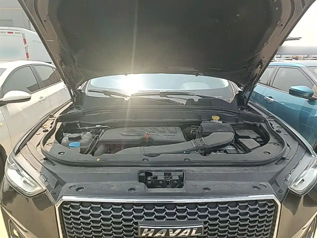 Haval F5 2019 National Trend Edition 1.5T iCool China VI фото 16