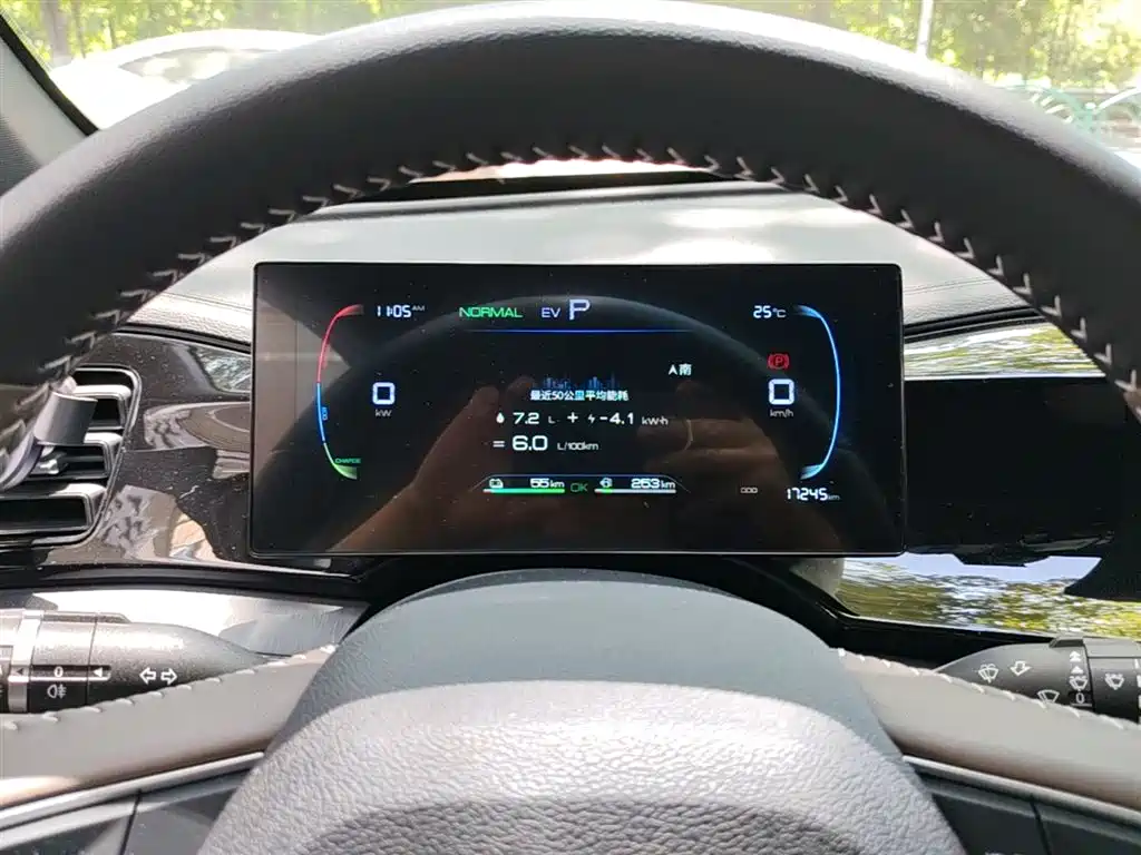 BYD Qin PLUS 2024 Glory Edition DM-i 55KM Leading фото 8