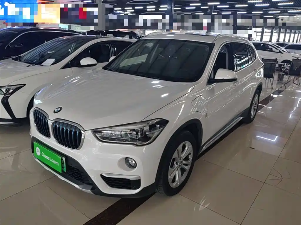 BMW X1 New Energy 2019 xDrive25Le Range Upgrade Edition фото 2