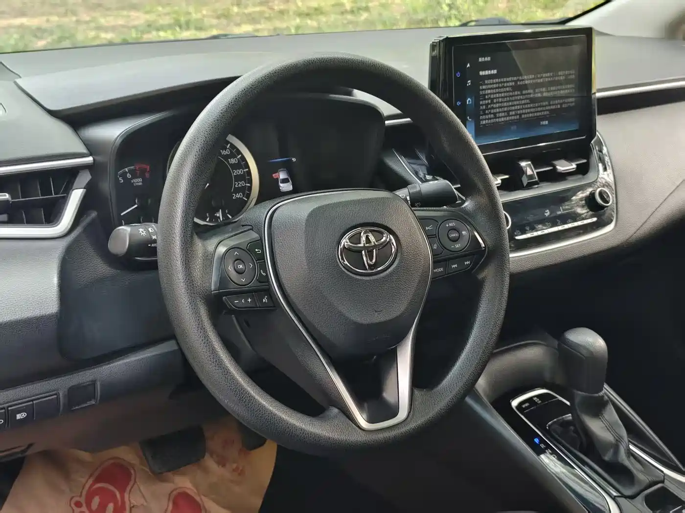 TOYOTA ASIAN LION