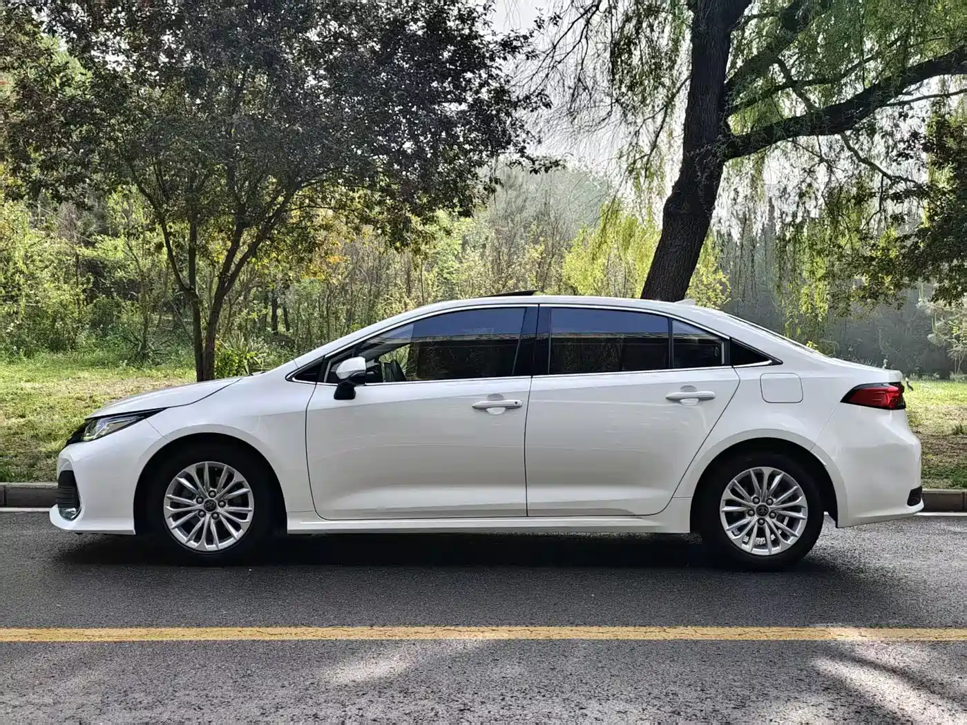 TOYOTA ASIAN LION
