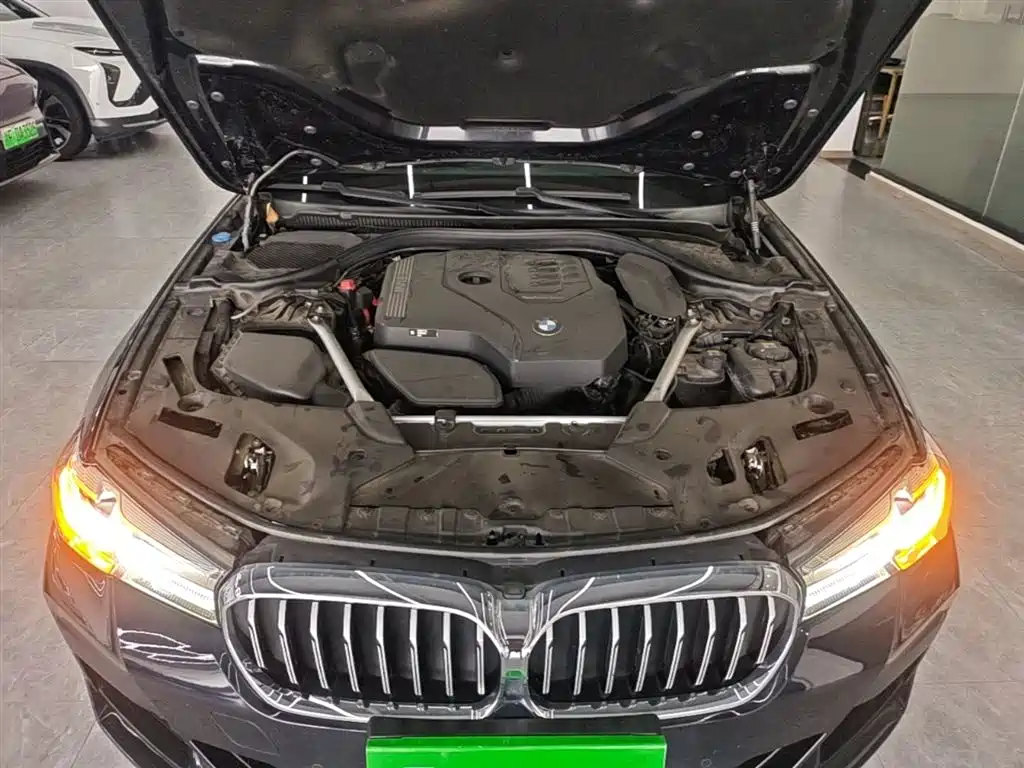 BMW 5 Series 2022 Model Second Facelift 530Li Leading M Sport Package фото 20