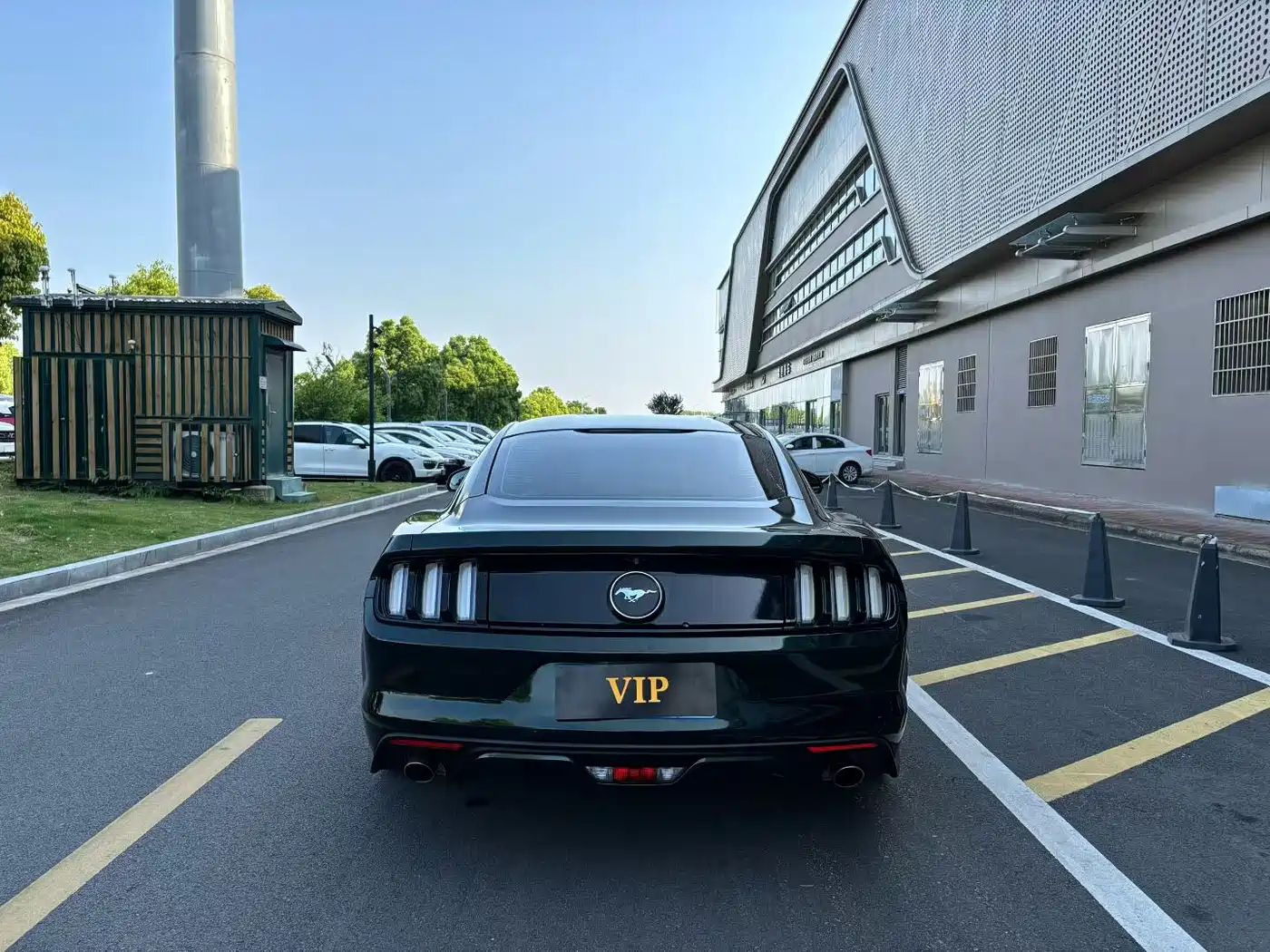 Ford Mustang 2015 2.3T Sport Edition фото 8