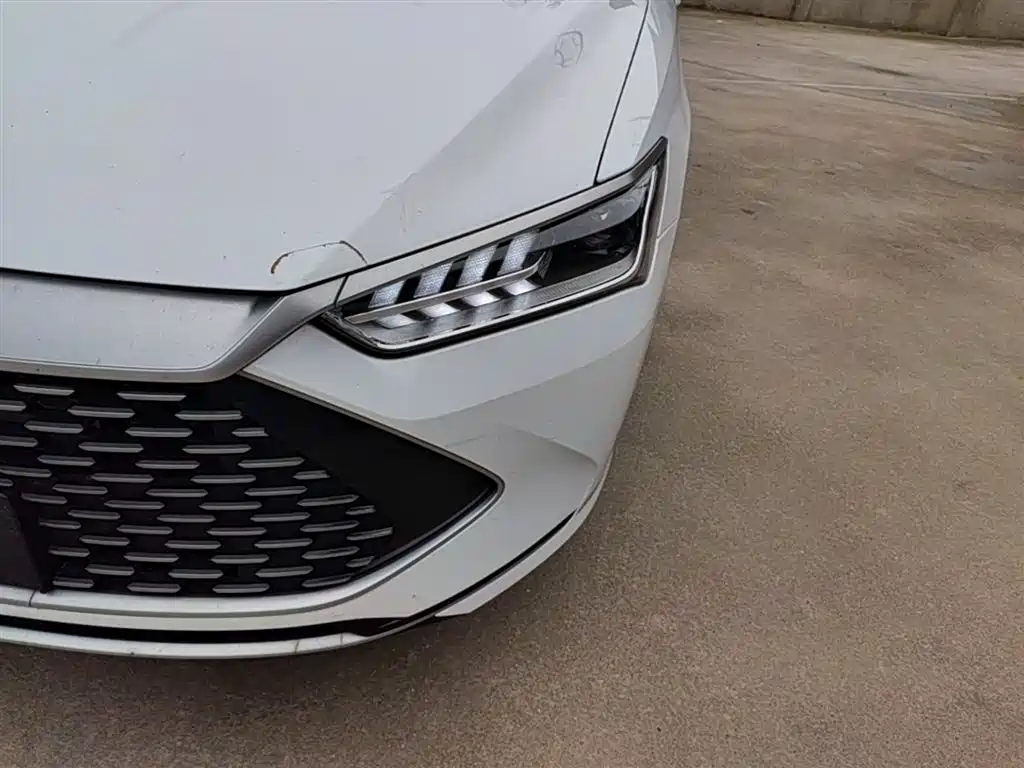 BYD Qin PLUS 2023 Champion Edition DM-i 55KM Leading фото 24