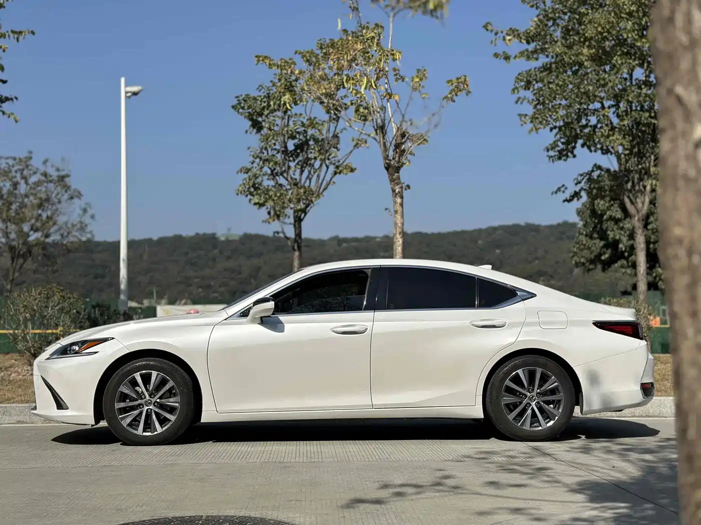 Lexus ES 2020 200 Excellence фото 3