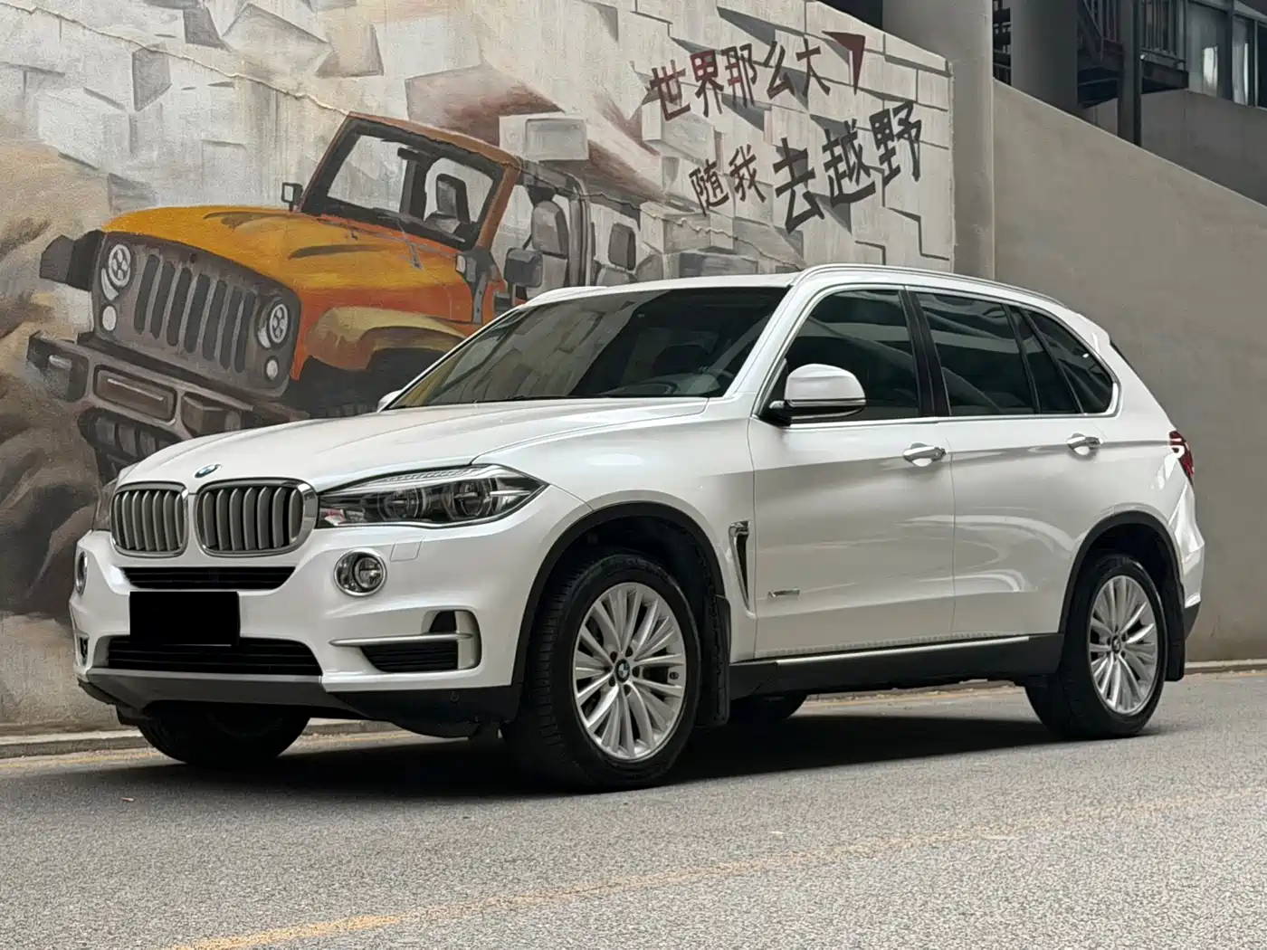 BMW X5 (Import) 2015 Model xDrive35i China Limited Edition